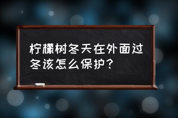 盆栽柠檬树可以放在阳台吗 柠檬树冬天在外面过冬该怎么保护? 盆栽柠檬树可以放在阳台吗 柠檬树冬天在外面过冬该怎么保护?