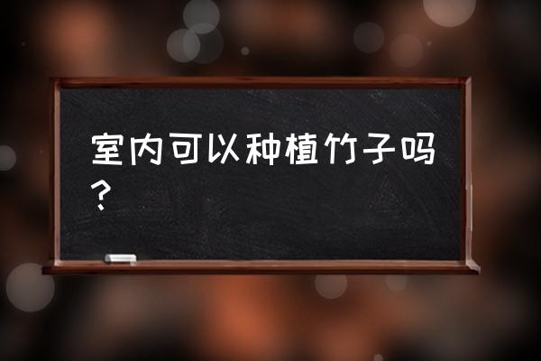 竹子在室内怎么过冬 室内可以种植竹子吗? 竹子在室内怎么过冬 室内可以种植竹子吗?