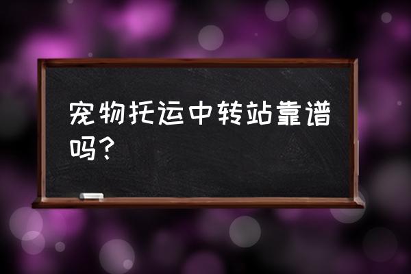 锦程物流宠物托运好不好 宠物托运中转站靠谱吗？