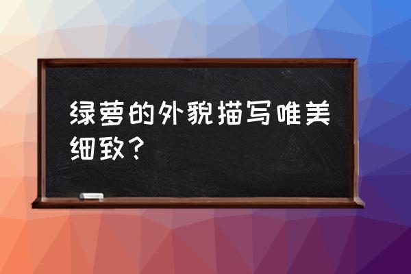 描写绿萝的特点怎么写 绿萝的外貌描写唯美细致？