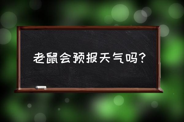 控制天气的动物是什么生肖 老鼠会预报天气吗? 控制天气的动物是什么生肖 老鼠会预报天气吗?