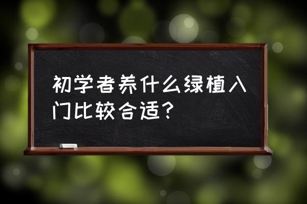 新手办公室养什么花四季开好养 初学者养什么绿植入门比较合适？