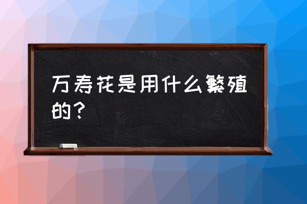 万寿花冬天换盆怎么样 万寿花是用什么繁殖的? 万寿花冬天换盆怎么样 万寿花是用什么繁殖的?
