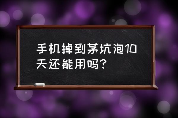 手机掉水里泡了10多分钟 手机掉到茅坑泡10天还能用吗？