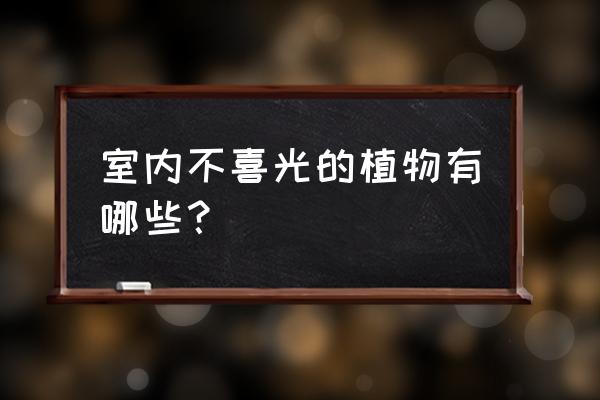 竹芋煲汤的做法和禁忌 室内不喜光的植物有哪些? 竹芋煲汤的做法和禁忌 室内不喜光的植物有哪些?