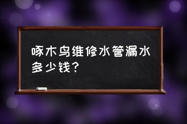 漏水检测费用价目表 啄木鸟维修水管漏水多少钱？
