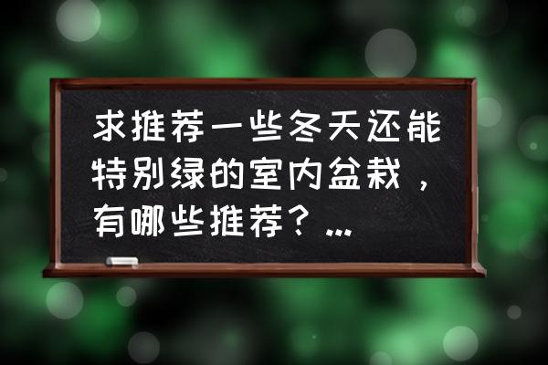 适合冬天养在室内的植物 求推荐一些冬天还能特别绿的室内盆栽,有哪些推荐?不容易掉叶子的那种? 适合冬天养在室内的植物 求推荐一些冬天还能特别绿的室内盆栽,有哪些推荐?不容易掉叶子的那种?