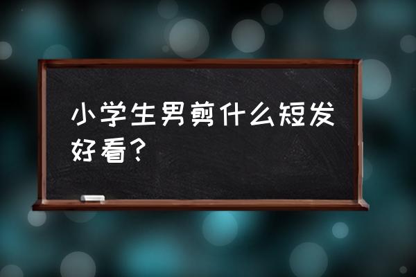 无需打理的男短碎发 小学生男剪什么短发好看？