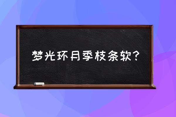 月季梦光环优缺点 梦光环月季枝条软？