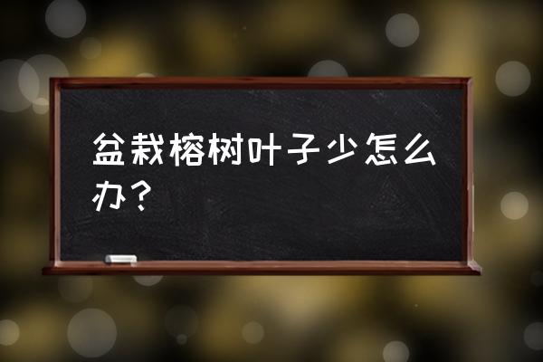 圆叶薄化妆和尖叶薄化妆哪个好养 盆栽榕树叶子少怎么办？