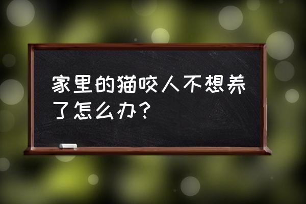 家里养的猫老是抓人怎么办 家里的猫咬人不想养了怎么办？