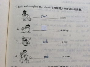 补充短语的例子15个。 急啊