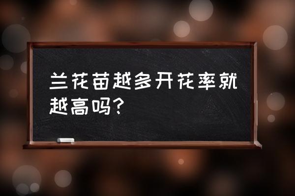 兰花怎么才能开花多 兰花苗越多开花率就越高吗？