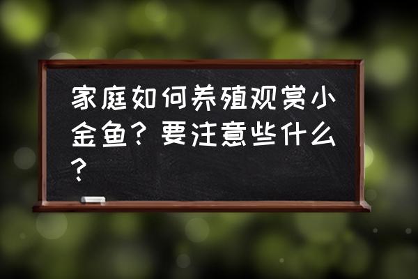 小型金鱼的养殖方法和技术 家庭如何养殖观赏小金鱼?要注意些什么? 小型金鱼的养殖方法和技术 家庭如何养殖观赏小金鱼?要注意些什么?