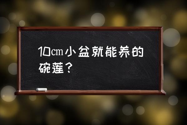 什么盆适合种碗莲盆景 10㎝小盆就能养的碗莲? 什么盆适合种碗莲盆景 10㎝小盆就能养的碗莲?