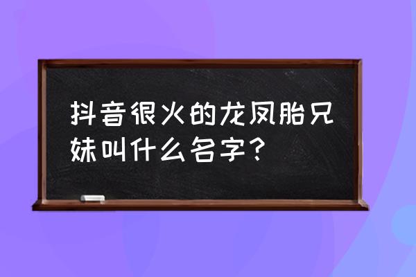 抖音的双胞胎小网红有哪些 抖音很火的龙凤胎兄妹叫什么名字? 抖音的双胞胎小网红有哪些 抖音很火的龙凤胎兄妹叫什么名字?