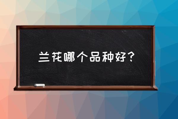 兰花品种哪个好 兰花哪个品种好? 兰花品种哪个好 兰花哪个品种好?