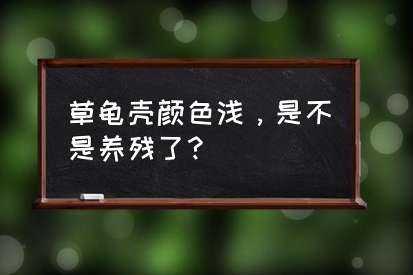 激素龟的缺点 草龟壳颜色浅，是不是养残了？