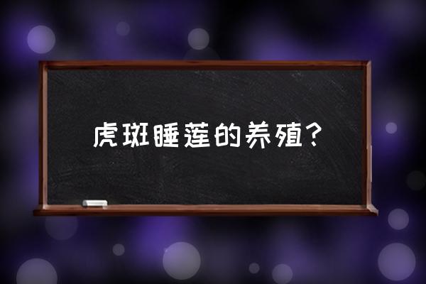 耐寒睡莲种植方法全过程 虎斑睡莲的养殖？
