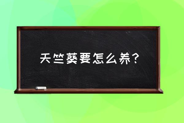 天竺葵怎样养 天竺葵要怎么养? 天竺葵怎样养 天竺葵要怎么养?