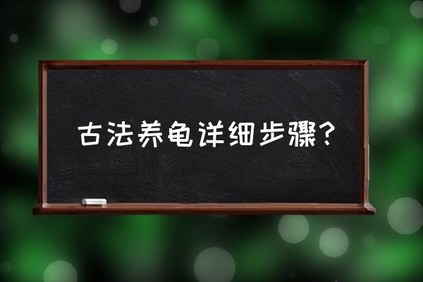 水陆缸造景假山流水 古法养龟详细步骤? 水陆缸造景假山流水 古法养龟详细步骤?