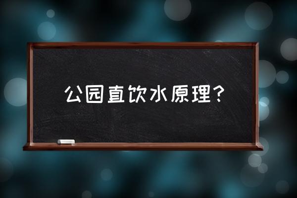 直饮水净化设备原理图 公园直饮水原理? 直饮水净化设备原理图 公园直饮水原理?