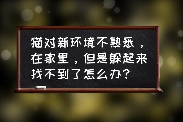 猫咪到了新环境一直躲起来怎么办 猫对新环境不熟悉，在家里，但是躲起来找不到了怎么办？