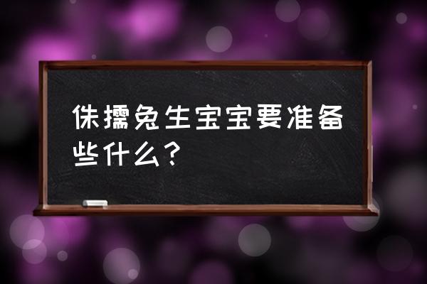 怎么给兔子准备一个合适的产仔箱 侏儒兔生宝宝要准备些什么？