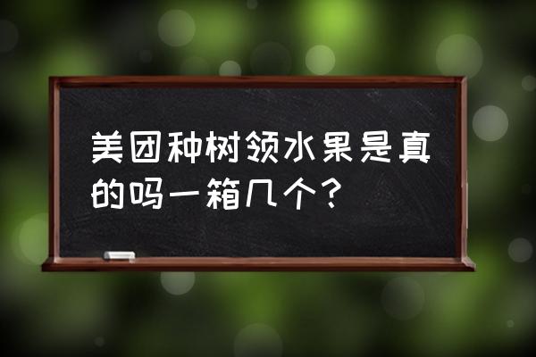 美团免费芒果一箱有多少 美团种树领水果是真的吗一箱几个？