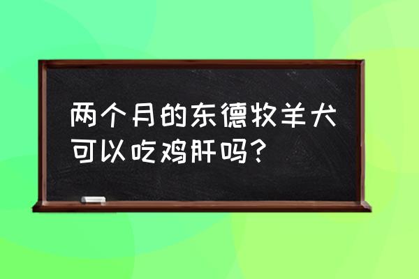 东德牧羊犬吃什么比较好 两个月的东德牧羊犬可以吃鸡肝吗？