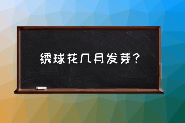 绣球种子种植方法和时间 绣球花几月发芽? 绣球种子种植方法和时间 绣球花几月发芽?
