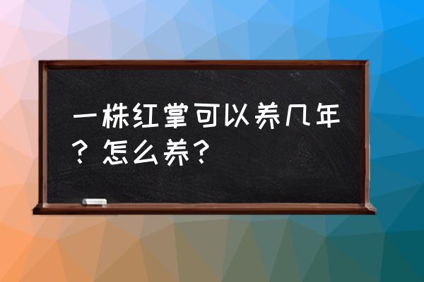 红掌好养还是白掌好养 一株红掌可以养几年?怎么养? 红掌好养还是白掌好养 一株红掌可以养几年?怎么养?