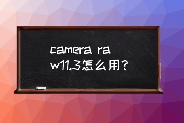 raw怎么一键修图 camera raw11.3怎么用？