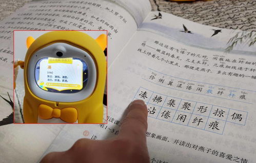 倾听的读音是什么