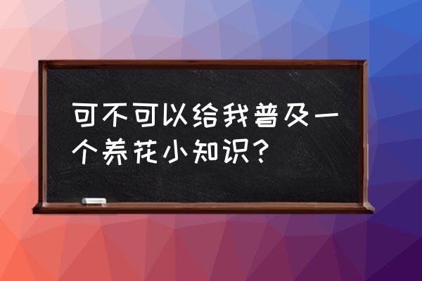 指甲花泡水有什么功效 可不可以给我普及一个养花小知识? 指甲花泡水有什么功效 可不可以给我普及一个养花小知识?