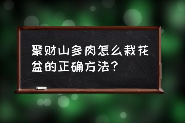 多肉手绘花盆初学教程 聚财山多肉怎么栽花盆的正确方法? 多肉手绘花盆初学教程 聚财山多肉怎么栽花盆的正确方法?