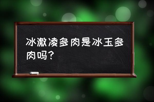 冰梅多肉怎样养才能包起来 冰激凌多肉是冰玉多肉吗？