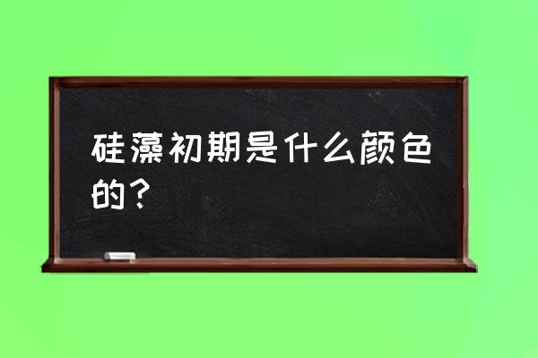 硅藻泥颜色都有哪几种 硅藻初期是什么颜色的? 硅藻泥颜色都有哪几种 硅藻初期是什么颜色的?
