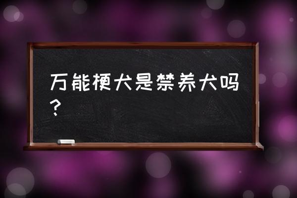 梗犬怎么饲养 万能梗犬是禁养犬吗？