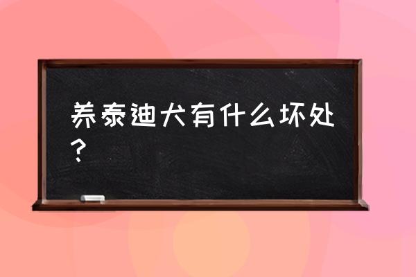 泰迪吃饭吃多了有什么危害 养泰迪犬有什么坏处? 泰迪吃饭吃多了有什么危害 养泰迪犬有什么坏处?