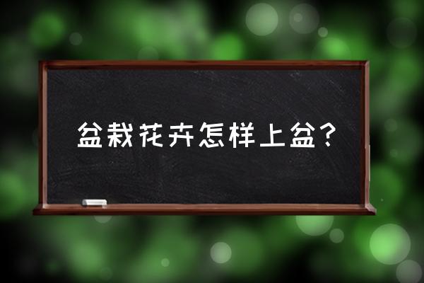 花卉种植方案大全 盆栽花卉怎样上盆? 花卉种植方案大全 盆栽花卉怎样上盆?