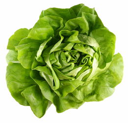 lettuce怎么读