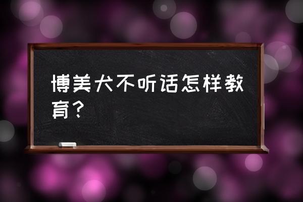 博美犬怎么养才是正确的 博美犬不听话怎样教育? 博美犬怎么养才是正确的 博美犬不听话怎样教育?