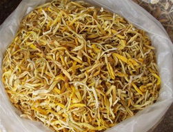 金针菜是什么样菜。又名叫什么