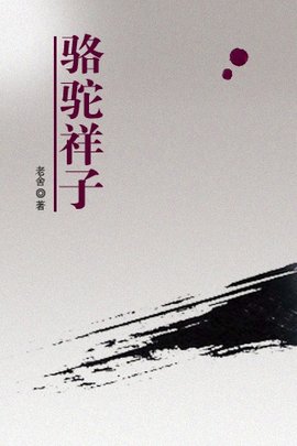 《骆驼祥子》每章题目是什么?