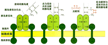 五种表达方式及作用答题格式是什么?