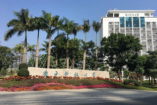 上海科技大学是几本?