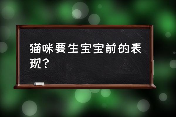 母猫快生了前三天的征兆 猫咪要生宝宝前的表现？