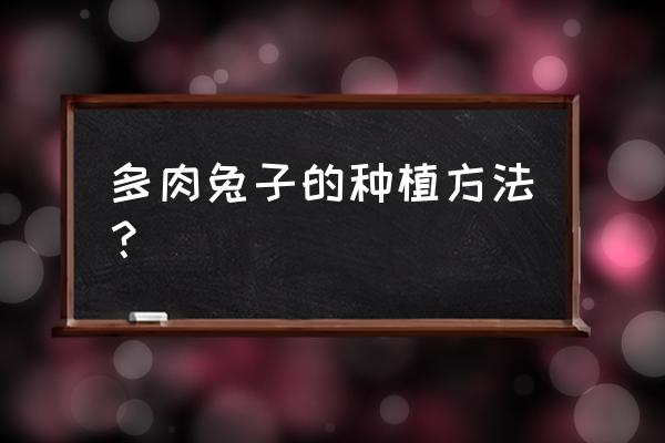 小兔子碧光环出芽后如何养护 多肉兔子的种植方法？
