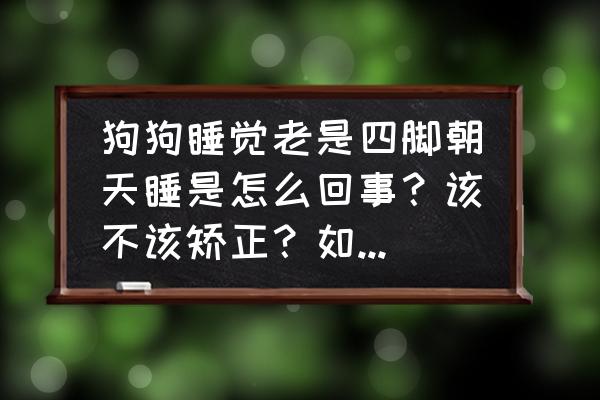 狗狗成天睡觉怎么回事 狗狗睡觉老是四脚朝天睡是怎么回事？该不该矫正？如何矫正？